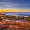 _dsc0336_web
