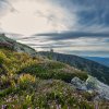 _dsc315_web
