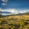 _dsc326_web