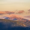 _dsc329_web