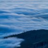 _dsc339_web