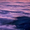 _dsc340_web