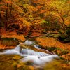 94_kopie.tif_final.tif_web